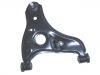 Control Arm:G030-34-300F