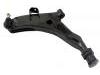 Control Arm:54500-34010