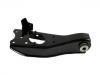 Control Arm:48069-28080