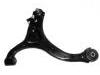 Control Arm:54500-2B000