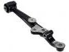 Control Arm:48069-50020