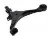 Control Arm:51360-S9A-A01