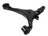 Control Arm:51350-S9A-A01