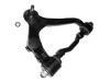 Control Arm:48066-29075