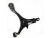 Control Arm:51350-S9A-010