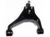 Control Arm:54510-3E003