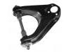 Control Arm:54411-G4000