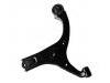 Control Arm:54501-1E000