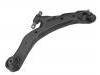 Control Arm:54501-2C002