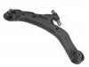 Control Arm:54500-2C002