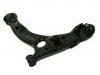 Control Arm:54500-17000