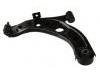 Control Arm:48069-B1020