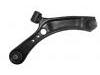 Control Arm:45201-79J00