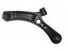 Control Arm:45202-79J00