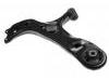 Control Arm:48069-02130