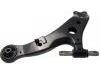 Control Arm:48069-48030