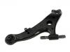 Control Arm:48069-0E020