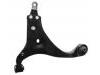 Control Arm:54501-2H000