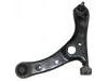 Control Arm:48069-49045