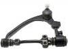 Control Arm:48067-29165