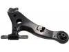 Control Arm:48068-48030