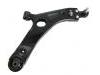 Control Arm:54501-2Y000