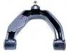 Control Arm:E4525-VK385