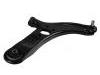 Control Arm:54501-1W000