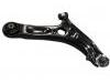 Control Arm:54501-1Y100