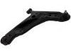 Control Arm:54501-0X000