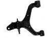 Control Arm:44501-09001