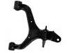 Control Arm:44502-09001