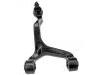 Control Arm:55110-3K000