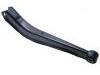 Control Arm:20250-AE010