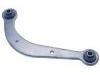 Control Arm:48770-20020