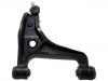 Control Arm:46202-65J01