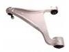 Control Arm:55502-1CA0A