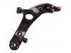 Control Arm:54501-2W200