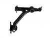 Control Arm:B21-2909010