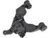 Control Arm:48069-34020