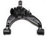 Control Arm:48069-35120