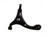 Control Arm:54500-0Q000