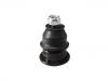 Ball Joint:54430-2J100