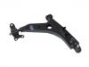 Control Arm:9018149