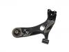 Control Arm:48069-02180