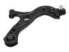 Control Arm:45068-F4010