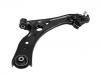 Control Arm:51350-T8M-G00