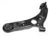 Control Arm:54500-4V000